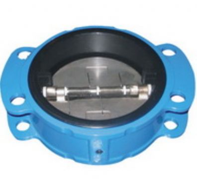 Rubber-Coated Check Valve